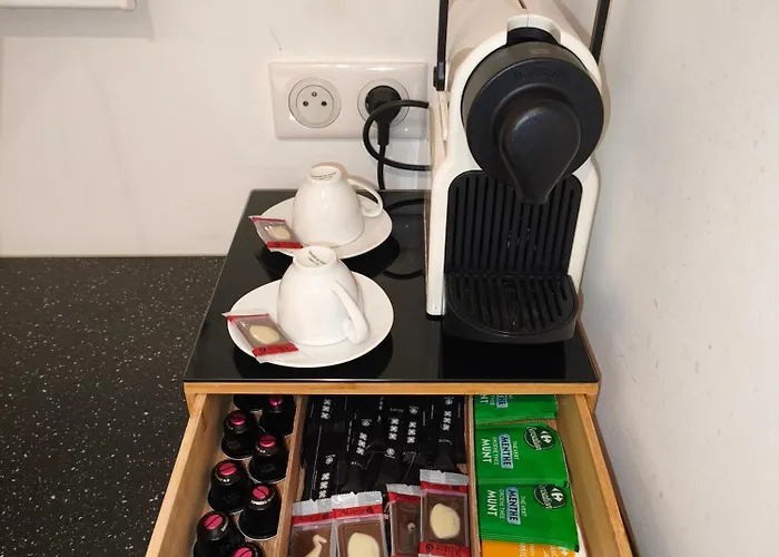 Le Cocon De Centre, Proche Parlement Europeen * Strasburg