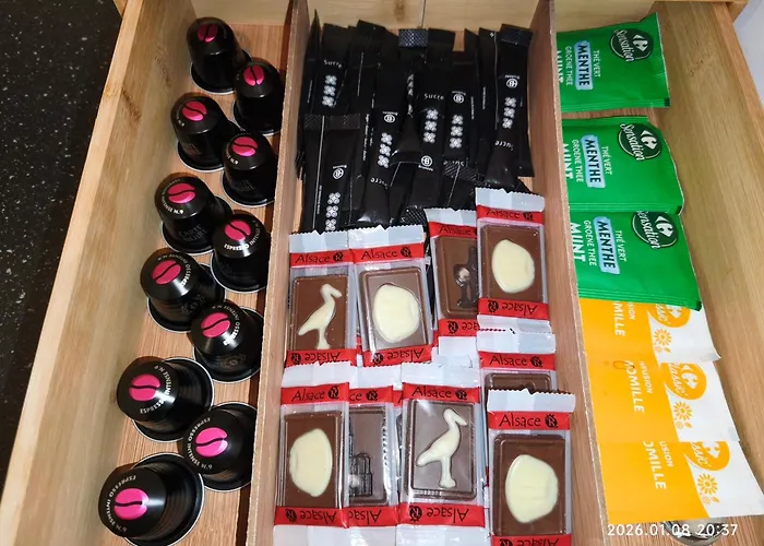 Le Cocon De Centre, Proche Parlement Europeen Strasburg