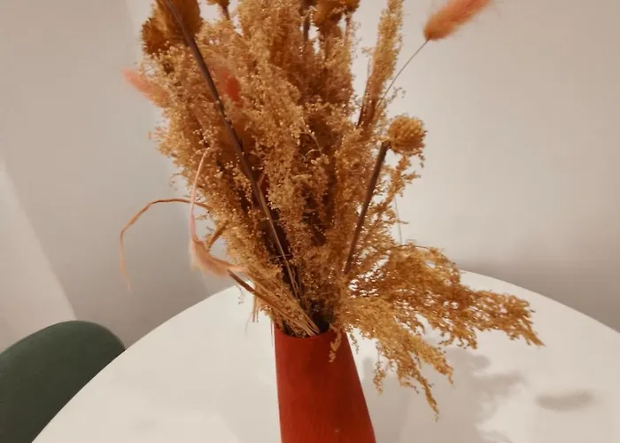 Le Cocon De Centre, Proche Parlement Europeen Strasburg