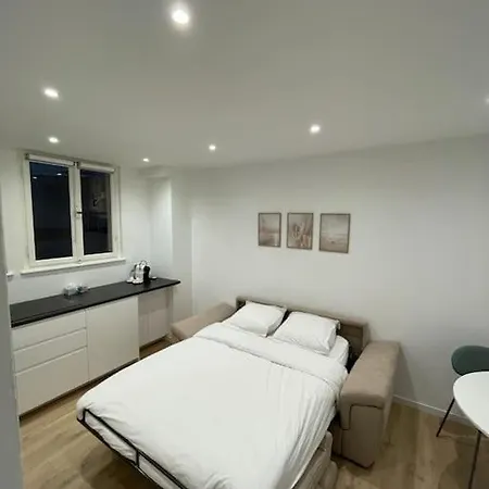 Le Cocon De Centre, Proche Parlement Européen Strasburgo